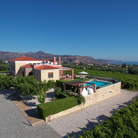 Cretan Vineyard Hill Villa Káto Kalészia Kültér fotó