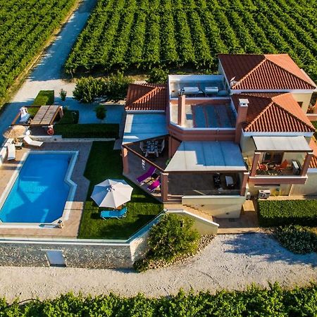 Cretan Vineyard Hill Villa Káto Kalészia Kültér fotó