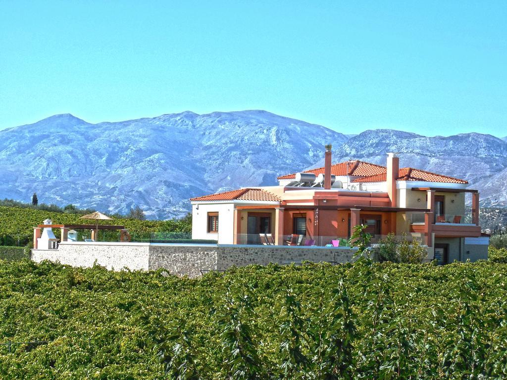 Cretan Vineyard Hill Villa Káto Kalészia Kültér fotó