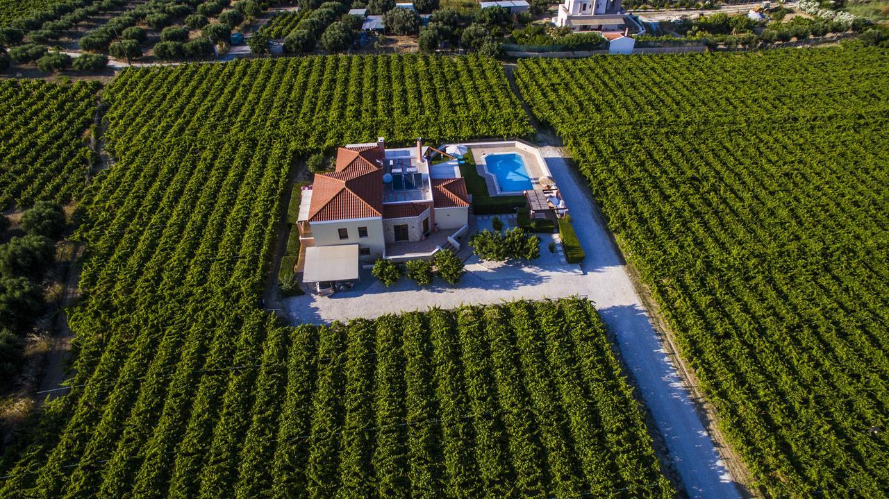 Cretan Vineyard Hill Villa Káto Kalészia Kültér fotó
