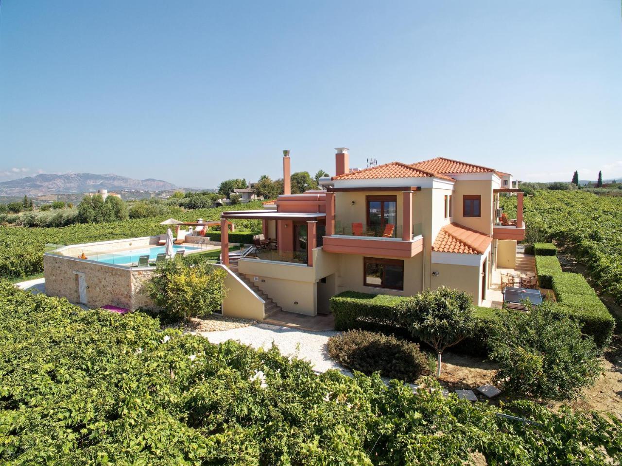 Cretan Vineyard Hill Villa Káto Kalészia Kültér fotó