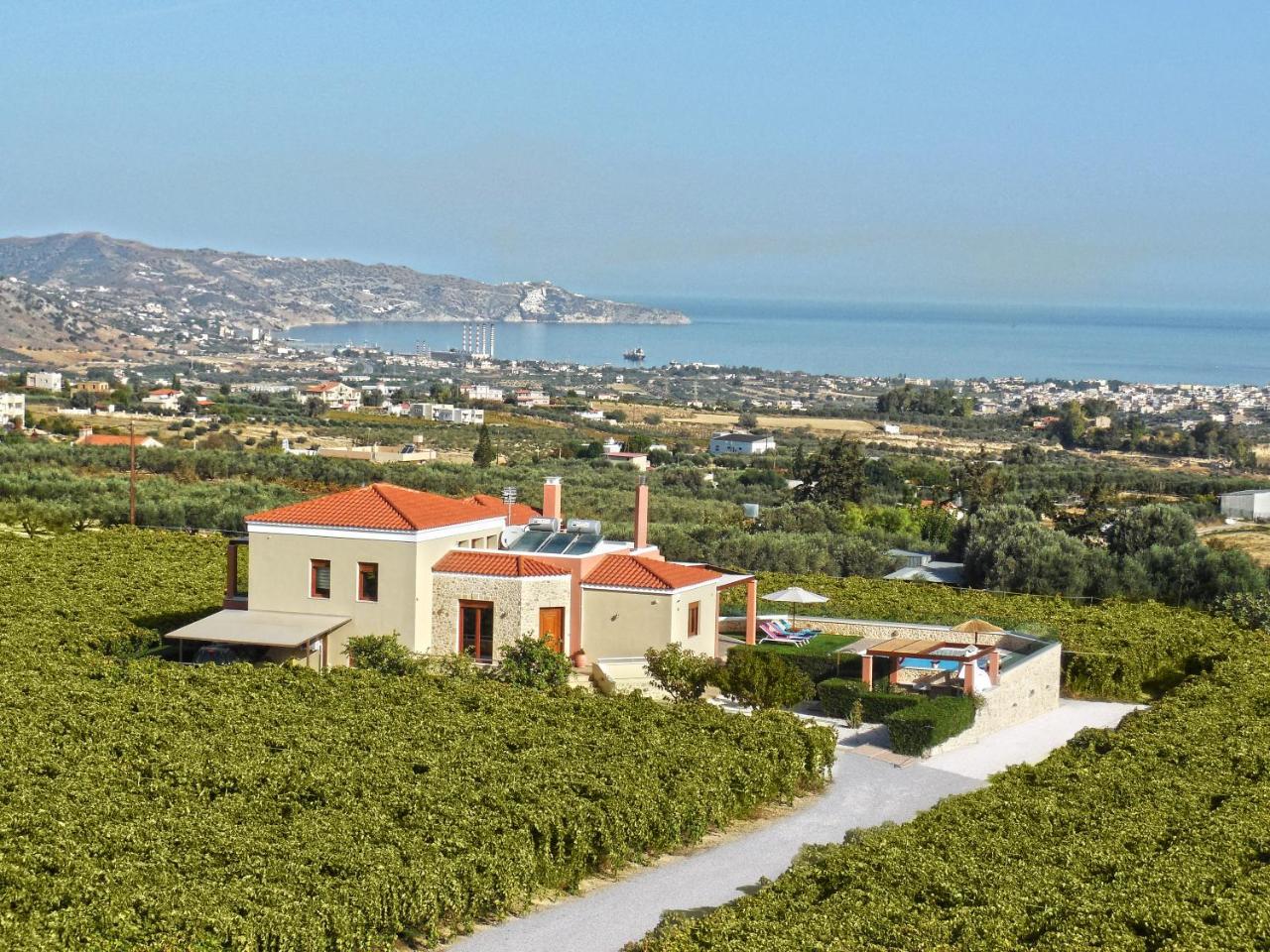 Cretan Vineyard Hill Villa Káto Kalészia Kültér fotó