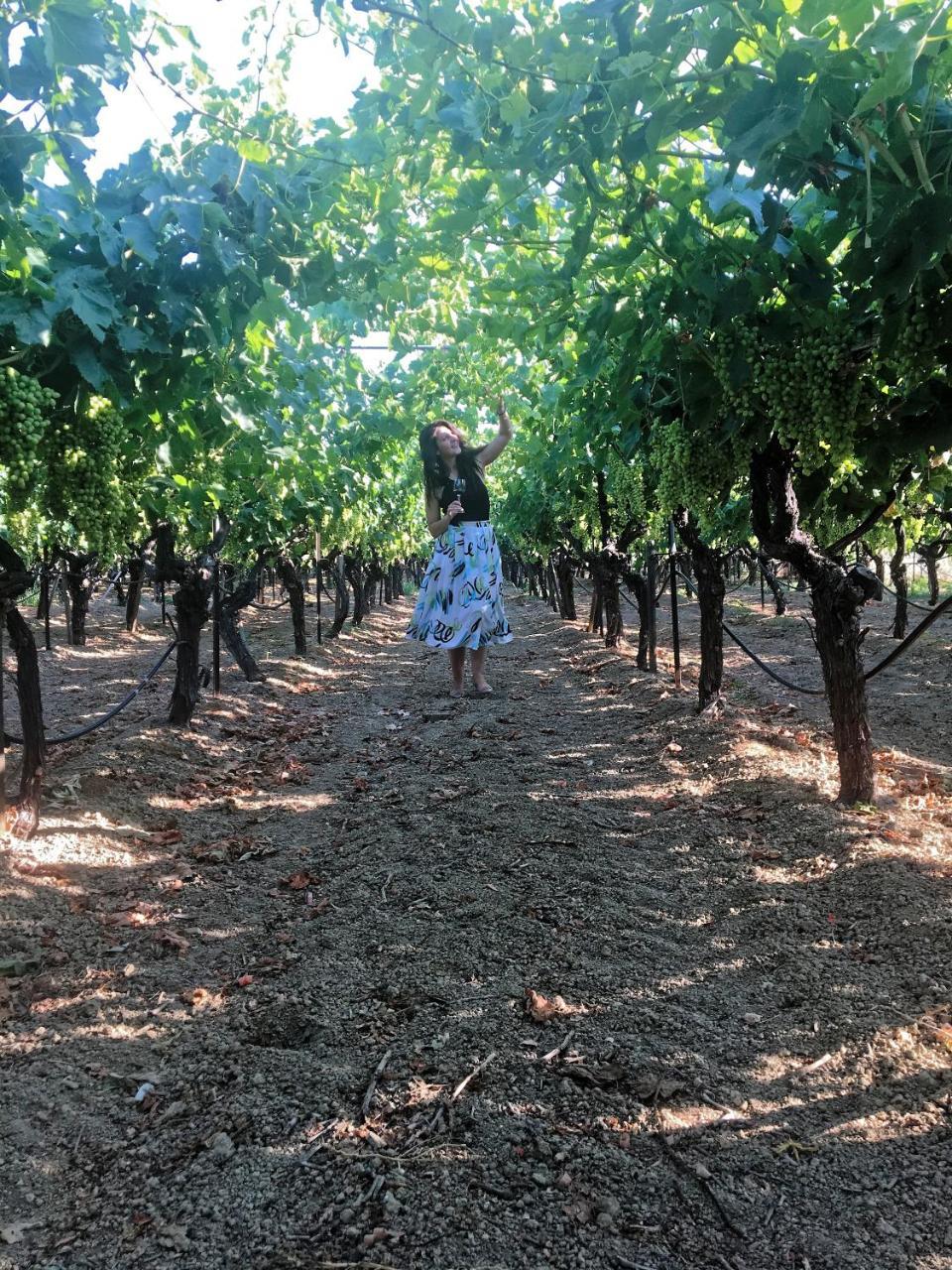 Cretan Vineyard Hill Villa Káto Kalészia Kültér fotó