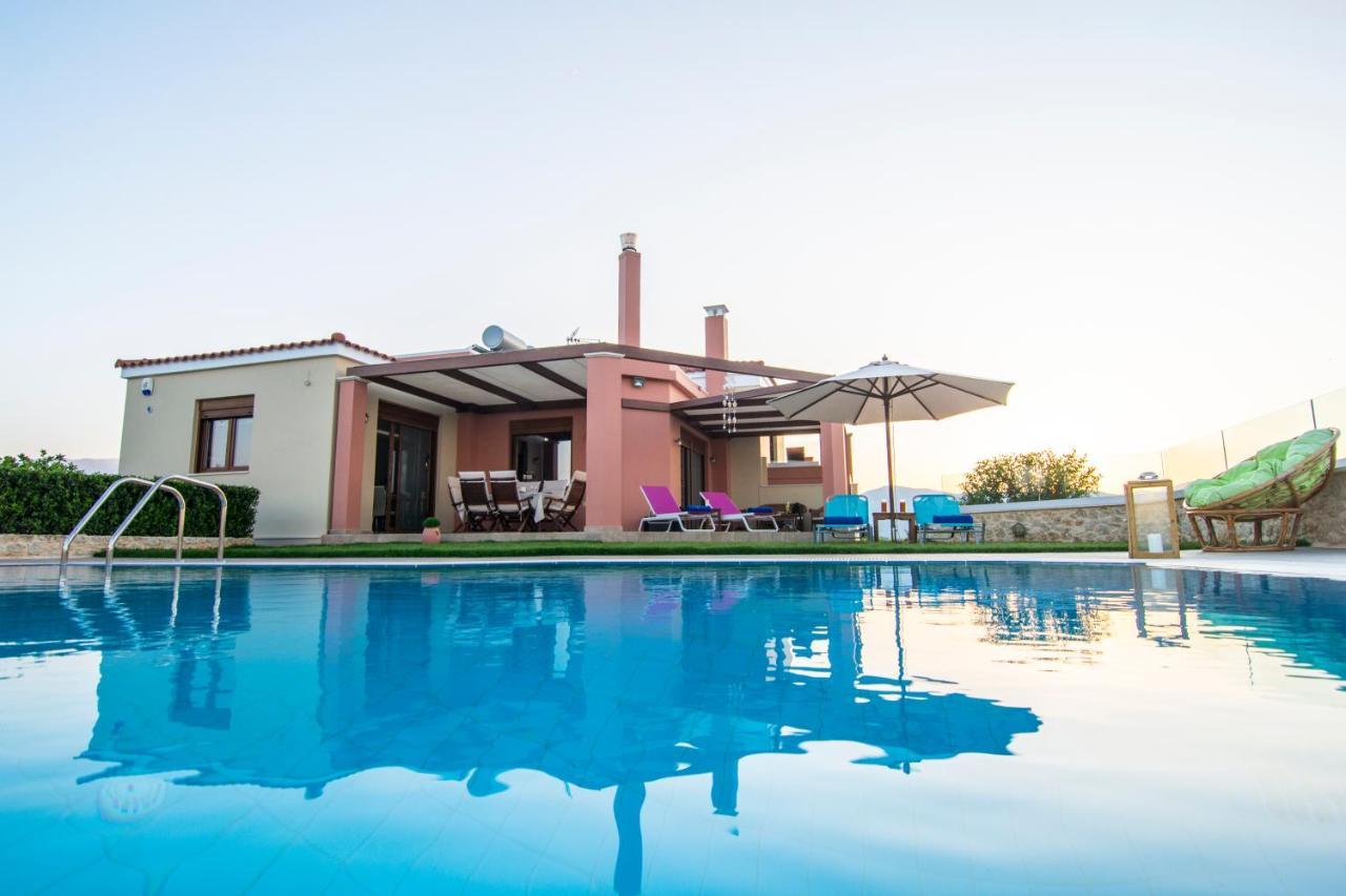 Cretan Vineyard Hill Villa Káto Kalészia Kültér fotó