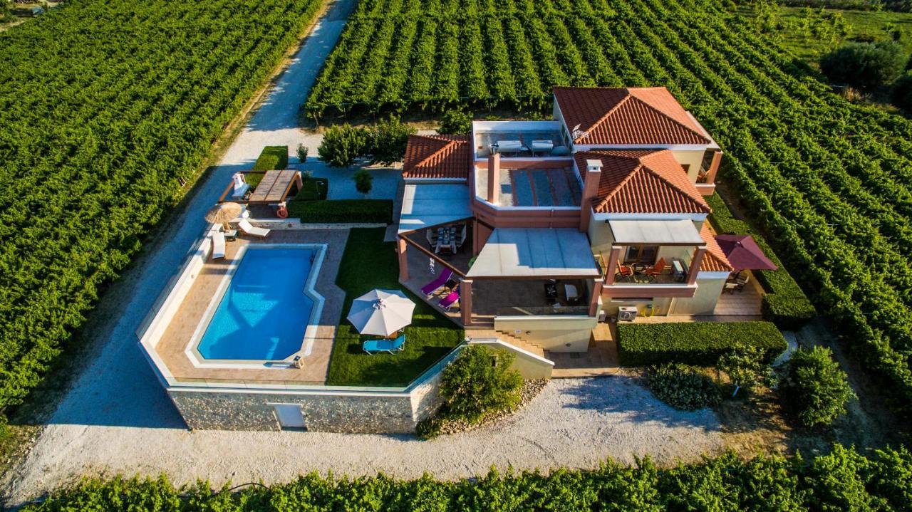 Cretan Vineyard Hill Villa Káto Kalészia Kültér fotó
